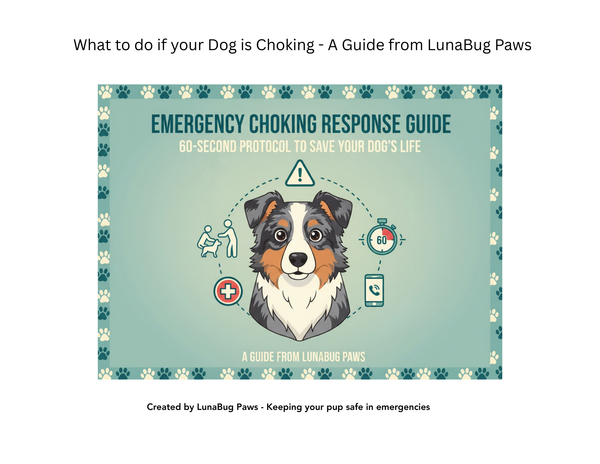 Quick Dog Choke Rescue Guide